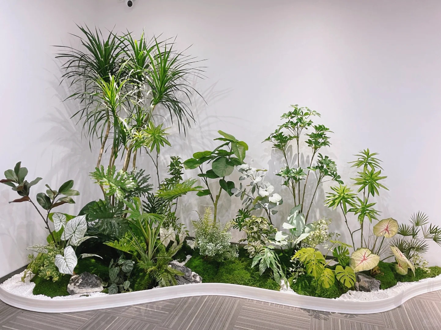 专业绿植租赁，宁波鄞州为您的空间添一抹绿